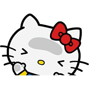 Matomo_Hello Kitty Hitting Glass Funny Vinyl Sticker Auto Car Truck Wall Laptop | Sticker | 5.9"