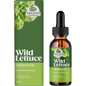 Wild Lettuce 10X Extract Tincture 30,000 mg (1 Fl Oz (Pack of 1))