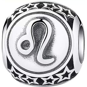 Zodiac Sign Charm 925 Sterling Silver 12 Horoscope Constellation Charm Hollow Star Charm for Fashion 3MM Pandora Bracelet & Necklace, Birthday Gift