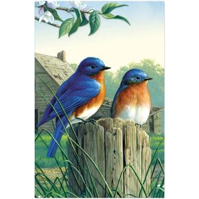 Tree-Free Greetings - All Occasion Cards - Artful Designs - 12 Greeting Cards + White Envelopes - Made in USA - 100% Recycled Paper - 4 x 6 - Morning Bluebirds (FS66817)