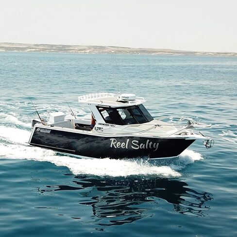 Simrad HALO20+ 36 NM 20 بوصة، رادار ضغط النبض، 60 دورة في الدقيقة، مع تجنب الاصطدام ومسار السرعة، تقنية دوبلر مزدوجة المدى مدمجة in Kuwait