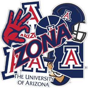 Desert Cactus University of Arizona Sticker Wildcats UA Stickers Vinyl Decals Laptop Water Bottle Car T2 (Type 2-3)