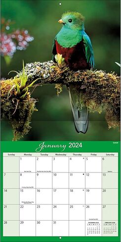 Turner Photographic Costa Rica 12X12 Photo Wall Calendar (24998940064) in Saudi Arabia