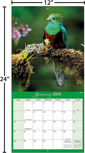 Turner Photographic Costa Rica 12X12 Photo Wall Calendar (24998940064) in Saudi Arabia