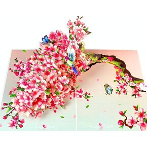 Mothers Day Pop Up Card, Hummingbird Birthday Card, Pop Up Birthday Cards for Women, Wife, Mom, Daughter, Grandma, Mother's Day Card, 3D Pop Up Birthday Card