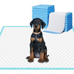 Dog and Puppy Pee Pads 24"x24", 40 Count Super Absorbent Pee Pads for Dogs, Disposable Urine Bed Pads for Doggie, Thicken L Dog Pads for Indoor, Outdoor Use ,Blue & White