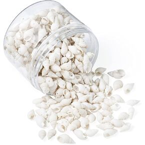 KISSITTY 10 Strands/About 1600pcs Natural Trumpet Shell Beads Strands with Hole 6-11mm Length White Undyed Natural Shell Spacer Beads Charms for DIY Jewelry Making