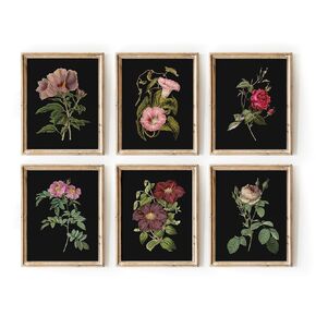 Vintage Wall Art, Vintage Botanical Wall Art, Flower Prints, Dark Floral Wall Art, Botanical Wall Decor, Country Wall Art, Farmhouse Art Prints, French Country Wall Art Set 6(11x14 IN UNFRAMED)