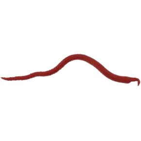 Berkley GENC6-BL Gulp Extruded Nightcrawler