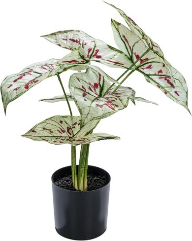 Creative Co-Op Faux Elephant Ear Plant in Plastic Pot, Natural and Black in Saudi Arabia