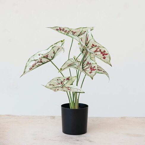 Creative Co-Op Faux Elephant Ear Plant in Plastic Pot, Natural and Black in Saudi Arabia