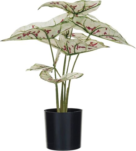 Creative Co-Op Faux Elephant Ear Plant in Plastic Pot, Natural and Black in Saudi Arabia
