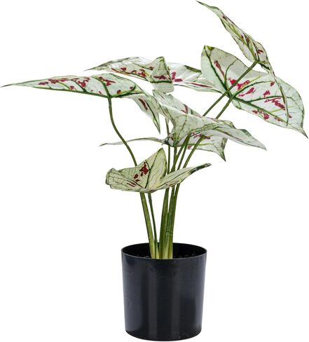 Creative Co-Op Faux Elephant Ear Plant in Plastic Pot, Natural and Black in Saudi Arabia