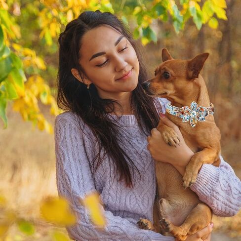Lionheart glory Premium Dog Collars, Dog Collar with Flower Heavy Duty Adjustable Halloween Dog Collar with Flower for Small Dogs in Saudi Arabia