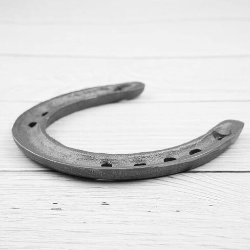 ECSiNG 4PCS Rustic Horseshoe Wall Decor Cast Iron Horseshoe Wall Hanging Ornaments Good Luck Blessing Gift for Indoor Outdoor Farmhouse Door Wall Decor in Saudi Arabia