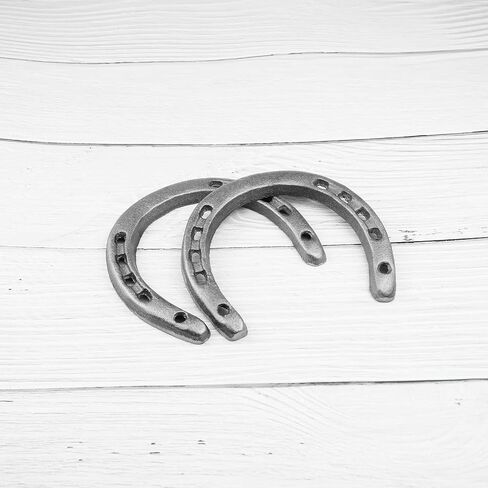 ECSiNG 4PCS Rustic Horseshoe Wall Decor Cast Iron Horseshoe Wall Hanging Ornaments Good Luck Blessing Gift for Indoor Outdoor Farmhouse Door Wall Decor in Saudi Arabia