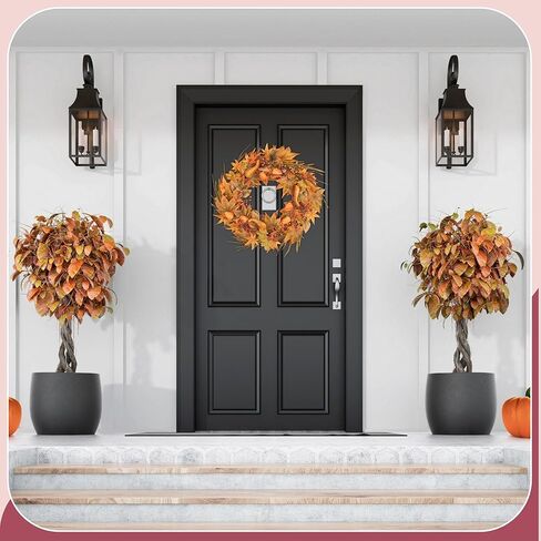أكاليل الخريف للباب الأمامي 22 بوصة، أوراق القيقب، اليقطين، التوت، سقوط الباب الأمامي، إكليل الخريف، ديكور لعيد الشكر، حصاد الهالووين، مزرعة خارج الخريف، ديكورات داخلية وخارجية in Kuwait