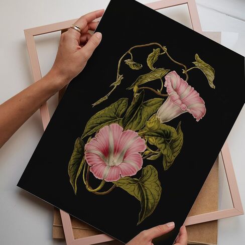 Vintage Wall Art, Vintage Botanical Wall Art, Flower Prints, Dark Floral Wall Art, Botanical Wall Decor, Country Wall Art, Farmhouse Art Prints, French Country Wall Art Set 6(11x14 IN UNFRAMED) in Saudi Arabia