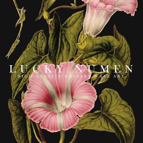 Vintage Wall Art, Vintage Botanical Wall Art, Flower Prints, Dark Floral Wall Art, Botanical Wall Decor, Country Wall Art, Farmhouse Art Prints, French Country Wall Art Set 6(11x14 IN UNFRAMED) in Saudi Arabia