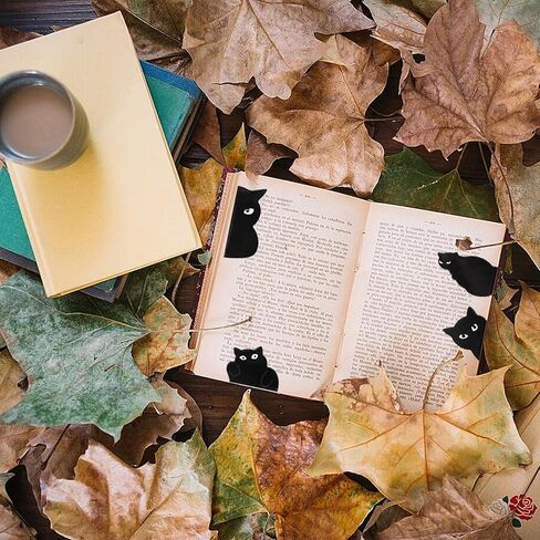 6 قطع من علامات الكتاب المغناطيسية للقراءة، إشارات مرجعية للقطط السوداء، إشارات مرجعية مغناطيسية لطيفة - جوائز للطلاب، مساعدي القراءة، هدايا صغيرة علامات كتاب مغناطيسية للنساء والرجال in Kuwait