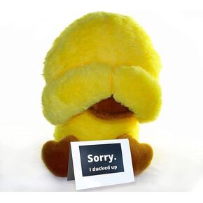 Sorry I Ducked Up- Adorable Apology Duck with Card - I'm Sorry Gifts for Her & Him - Soft Forgiveness Stuffed Animal Plushie for Girlfriend, Boyfriend, Wife, and Family