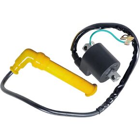 WFLNHB Ignition Coil and Spark Plug Cap Replacement for Honda Rincon 650 TRX650 2003-2005 30500-HN8-003