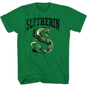 Harry Potter Hogwarts House Origins Athletic Adult and Youth T-shirts