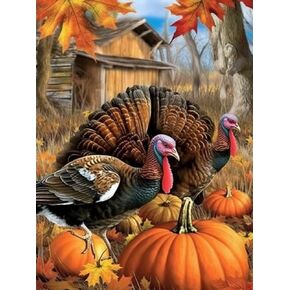 SKRYUIE DIY 5D Diamond Art Painting Kits Thanksgiving Pumpkin Turkey by Numbers, Diamond Art Animal Crystal Embroidery Cross Stitch Art Craft Wall Sticker Decoration Wall Decoration 30x40cm