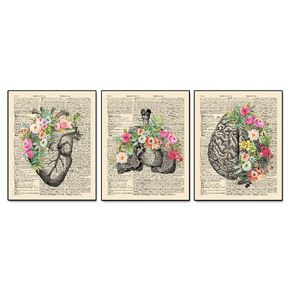 Anatomy Art Set, Anatomy With Flower, Psychology Wall Art, Psychologist Gift Idea, Medical Office Poster, Brain Heart Lung Anatomy Art, Medical Wall Decor, Set Of 3, Ready for Framing (8X10 INCH)
