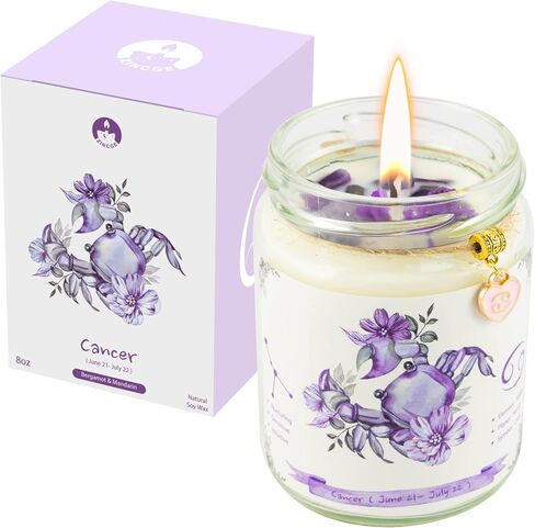 Aquarius Zodiac Crystal Candle Gifts for Women, Astrology Birthday Gifts Natural Soy Violets Scented Candle with Flowers and Lazurite Healing Crystals Gifts for Mom Sister Friends in Saudi Arabia