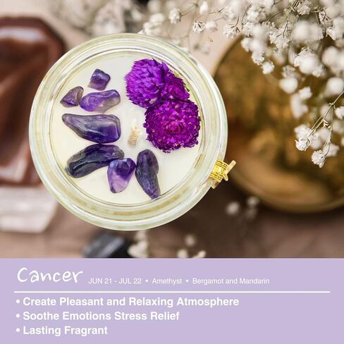 Aquarius Zodiac Crystal Candle Gifts for Women, Astrology Birthday Gifts Natural Soy Violets Scented Candle with Flowers and Lazurite Healing Crystals Gifts for Mom Sister Friends in Saudi Arabia