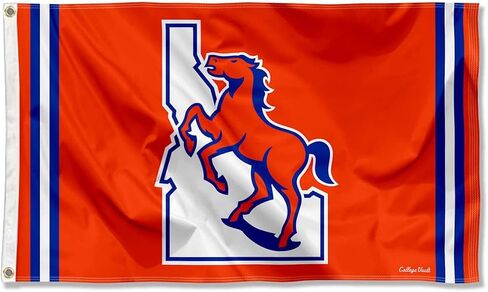 Boise State Broncos Vintage Retro Throwback 3x5 Banner Flag in Saudi Arabia