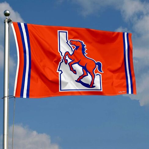 Boise State Broncos Vintage Retro Throwback 3x5 Banner Flag in Saudi Arabia