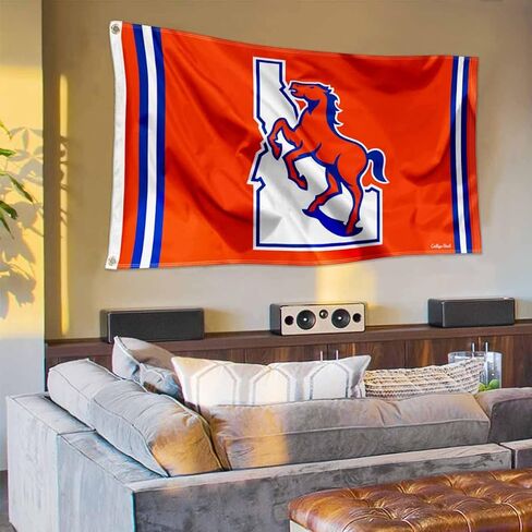 Boise State Broncos Vintage Retro Throwback 3x5 Banner Flag in Saudi Arabia