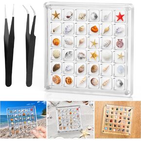 XANGNIER Acrylic Magnetic Seashell Display Box,Clear Sea Shell Display Box,Beach Magnet Storage Organizer Case for Seashell Diamond Beads,18 Grids,Transparent,1 Pack