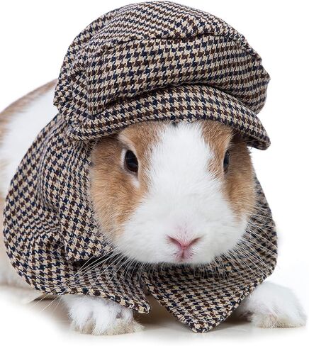 Rabbit Detective Costume Funny Bunny Plaid Shirts with Classic Hat Bunnys Cosplay Clothes (S) in Saudi Arabia