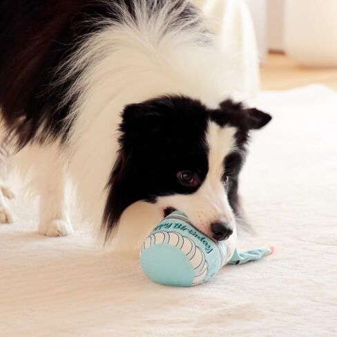لعبة لغز عيد ميلاد الكلب، ألعاب للكلاب من القطيفة تصدر صوتًا للكلاب الصغيرة والمتوسطة، حجم الكعكة 8 بوصات in Kuwait