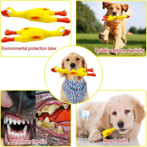 Screaming Rubber Chicken Dog Squeaky Toy, Latex Chew Molar Dog Toy (2 Pack) in Saudi Arabia