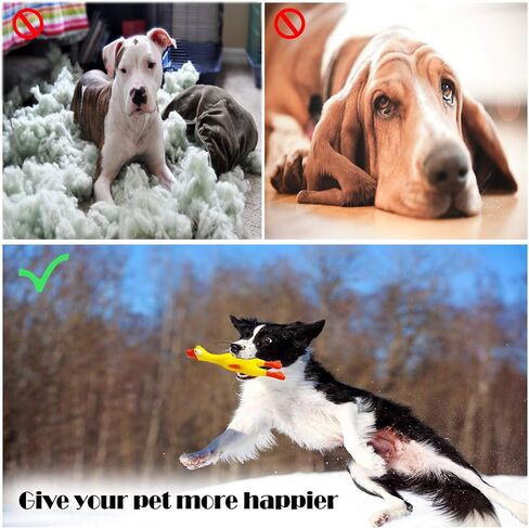 Screaming Rubber Chicken Dog Squeaky Toy, Latex Chew Molar Dog Toy (2 Pack) in Saudi Arabia