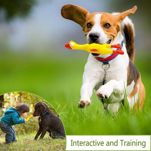 Screaming Rubber Chicken Dog Squeaky Toy, Latex Chew Molar Dog Toy (2 Pack) in Saudi Arabia