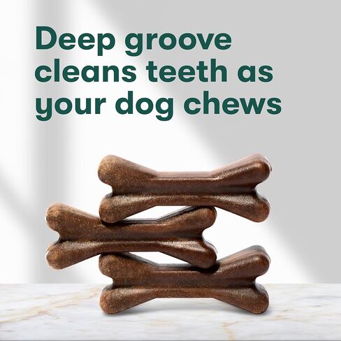 Jinx Dental Chews for Medium Dogs, All Natural, Deep-grooved for Teeth Cleaning & Tartar Control, Peppermint Oil for Fresh Breath, 8.8oz, 5 Pack in Saudi Arabia