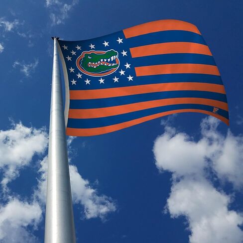 Rico Industries NCAA Florida Gators Flag 3' x 5' Stars & Stripes Banner Flag - Indoor or Outdoor Décor Made in Kuwait