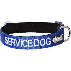 Service Dog Blue Color Coded S-M L-XL Buckle Dog Collar (Do Not Disturb) Prevents Accidents by Warning Others of Your Dog in Advance (L-XL Collar 15-25" Lx1.5 W)