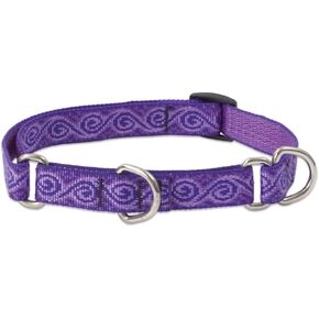 LupinePet Originals 3/4" Jelly Roll 10-14" Martingale Collar for Small Dogs