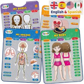 Bilingual Learning Toys - Human Anatomy for Kids, Learn English & Learn Spanish for Kids: Human Body Model for Kids: Organs, Muscles & Bones, Ideal for Ages 5-12.