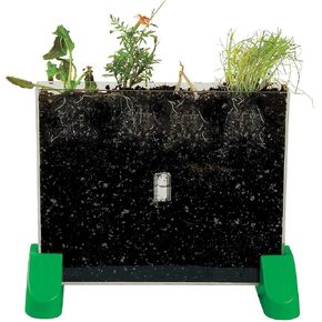 Watch It Grow Plant Viewer - قطعة واحدة - أنشطة تعليمية وتعليمية للأطفال