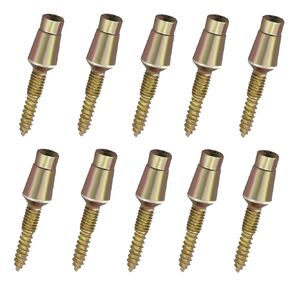 Door Hinges Security Screws,Tamper Proof Screws/Door Hinge Screws for Door Security/Accessory Hinge Screws Security Accessories for Anti-Theft Screw Doors 10 Pack