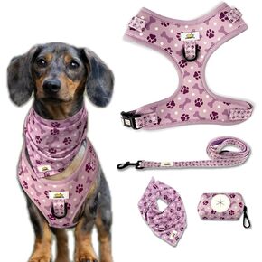Easy-Walk Dog Harness and Leash, XS Easy-Walk Dog Harness, Puppy Starter Kit, No-Escape Harness & Leash Set Training | Frenchie, Yorkie, Chihuahua, Dachshund Dog or Puppy Vest w/Poop Bag Holder