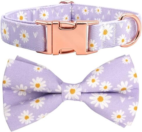 Daisy Dog Collar with Flower,Light Blue Daisy Dog Flower Collar, Girl Dog Collar (XS) in Saudi Arabia