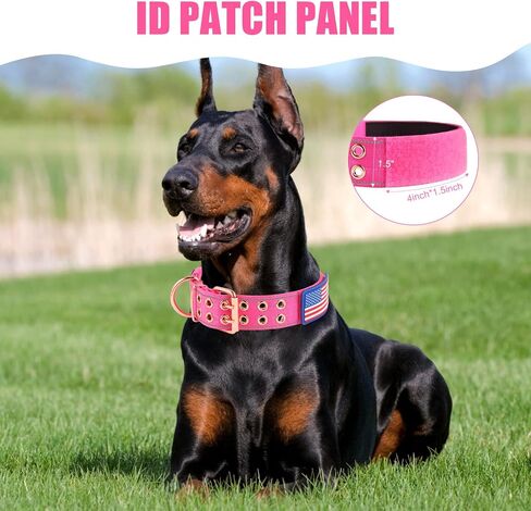 Heavy Duty Tactical Dog Collar with Neoprene Padded Metal Buckle, Reflective Nylon for Medium Large Dogs (Pink, Medium) in Saudi Arabia